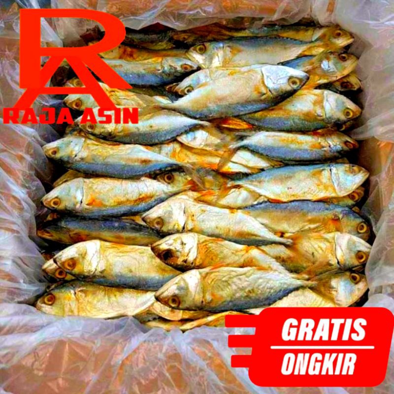 

IKAN ASIN Serba 5000 an Saja