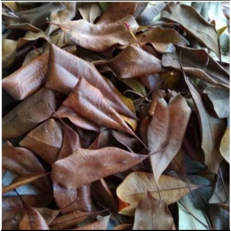 

DAUN CENGKEH 100 gram