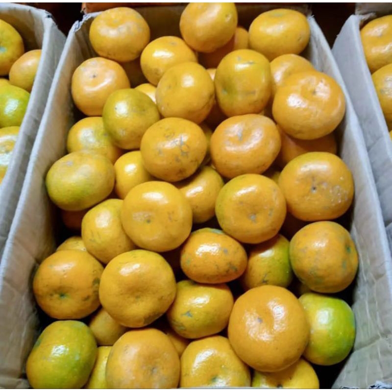 

JERUK MEDAN SUPER MANIS 1kg