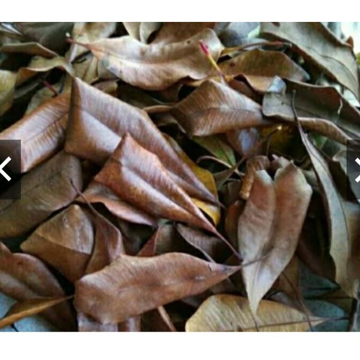 

Daun cengkeh kering 100 gram