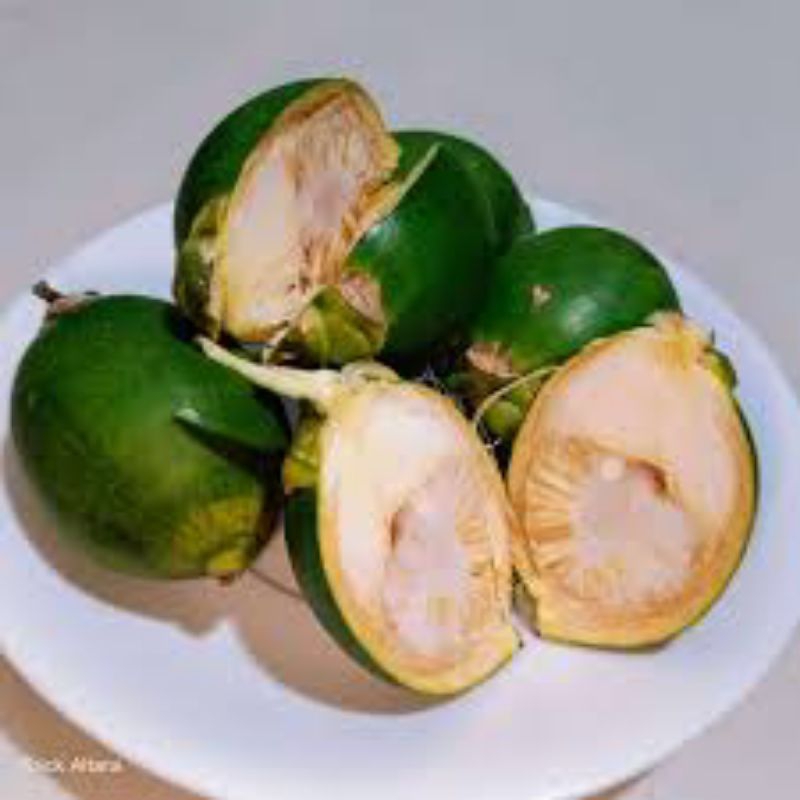 

buah pinang muda fress/500gr(stamina keperjakaan)