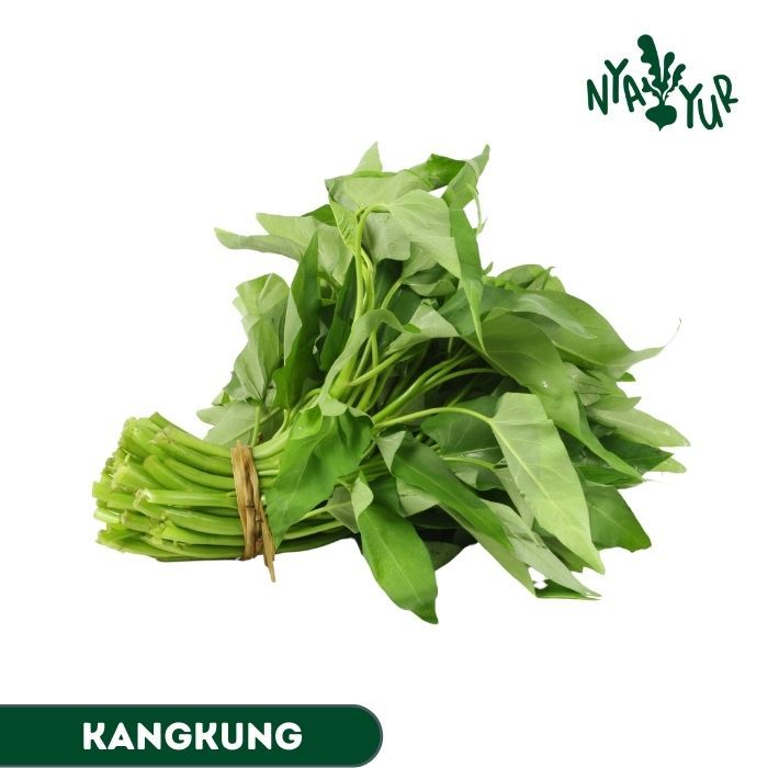 

INSTAN - Kangkung Segar per Ikat