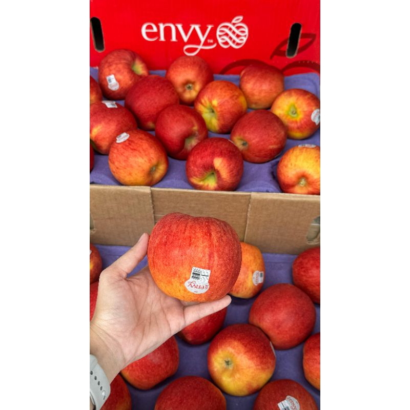 

Apel Envy USA - (KG)