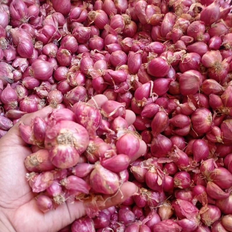 

Bawang merah bersih 1 kg/bawang Enrekang