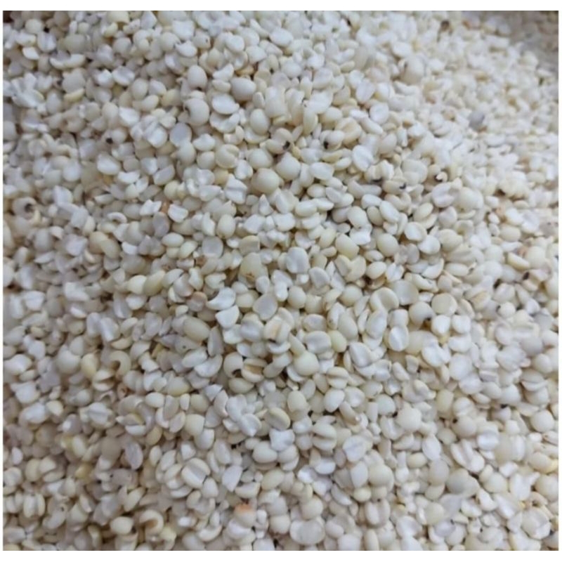 

Jali jali aceh 250gr//500gr