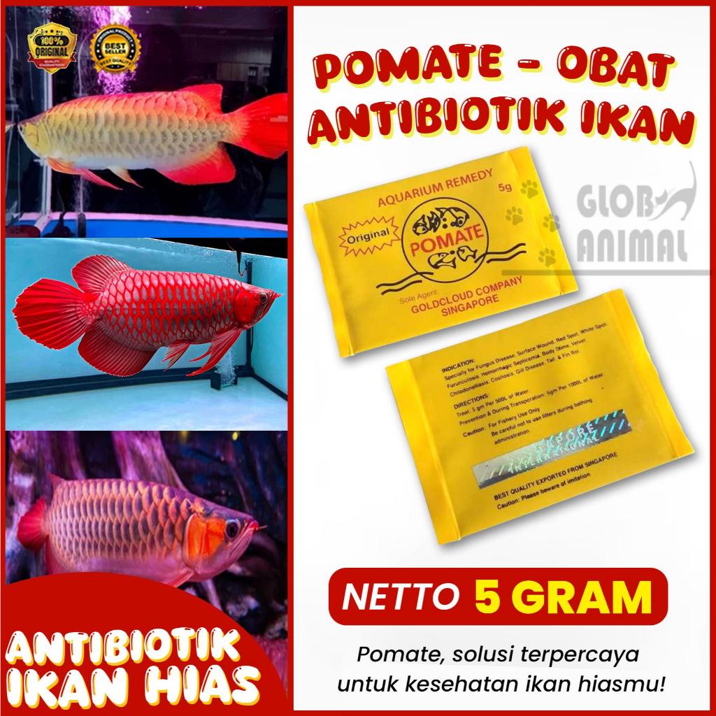 POMATE 5 GRAM OBAT ANTIBIOTIK IKAN ARWANA IKAN HIAS KOI ORI SINGAPORE