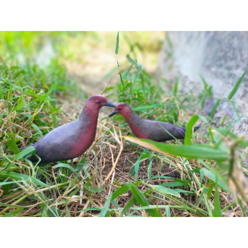 PATUNG JONTROT BURUNG TIKUSAN MERAH - PATUNG TIKUSAN - JONTROT BURUNG TIKUSAN MERAH