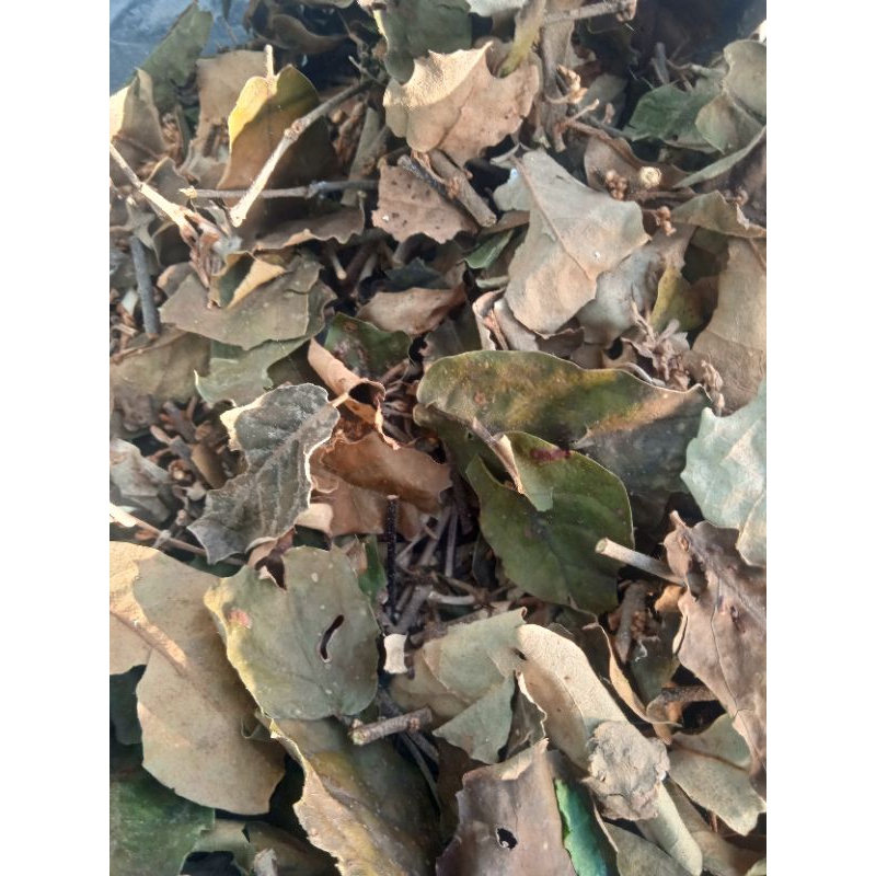 

daun benalu kopi kering per 200 grm