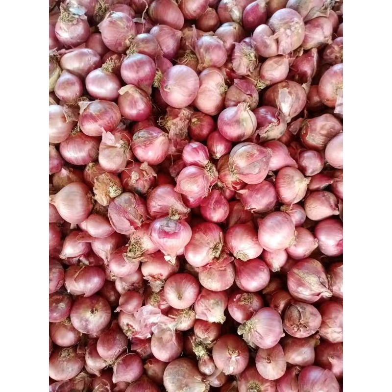 

500 gram bawang merah bawang pres