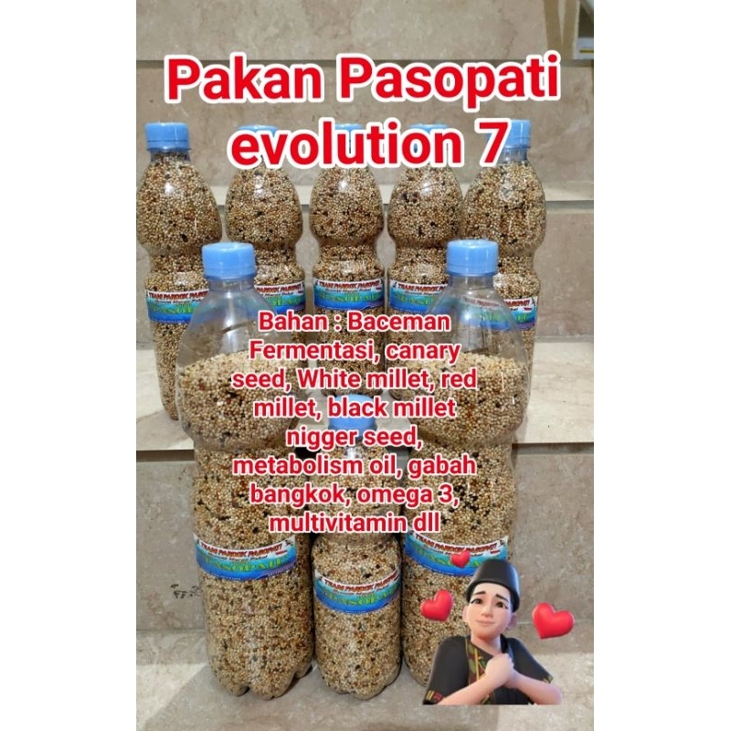 PAKAN PERKUTUT PASOPATI EVOLUTION 7