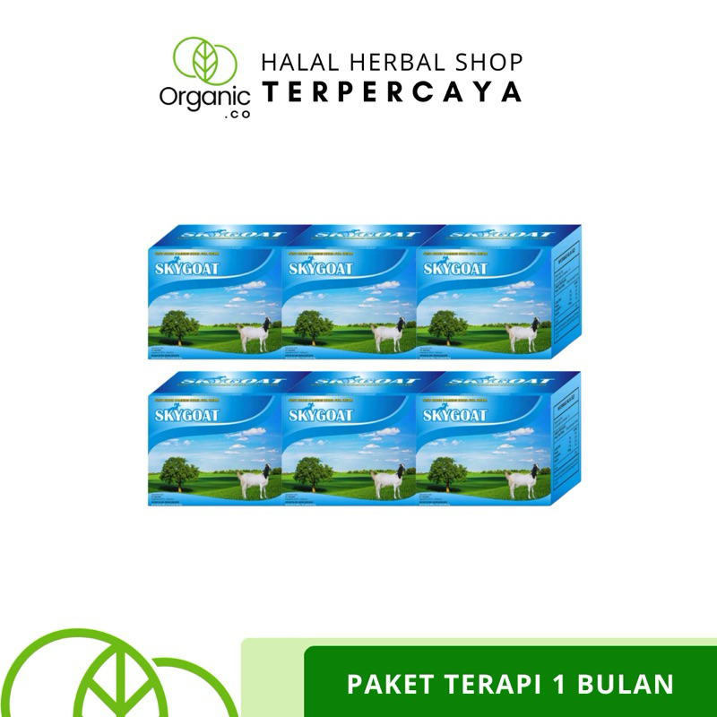 

Etawa Susu Kambing untuk Asma dan Paru-paru