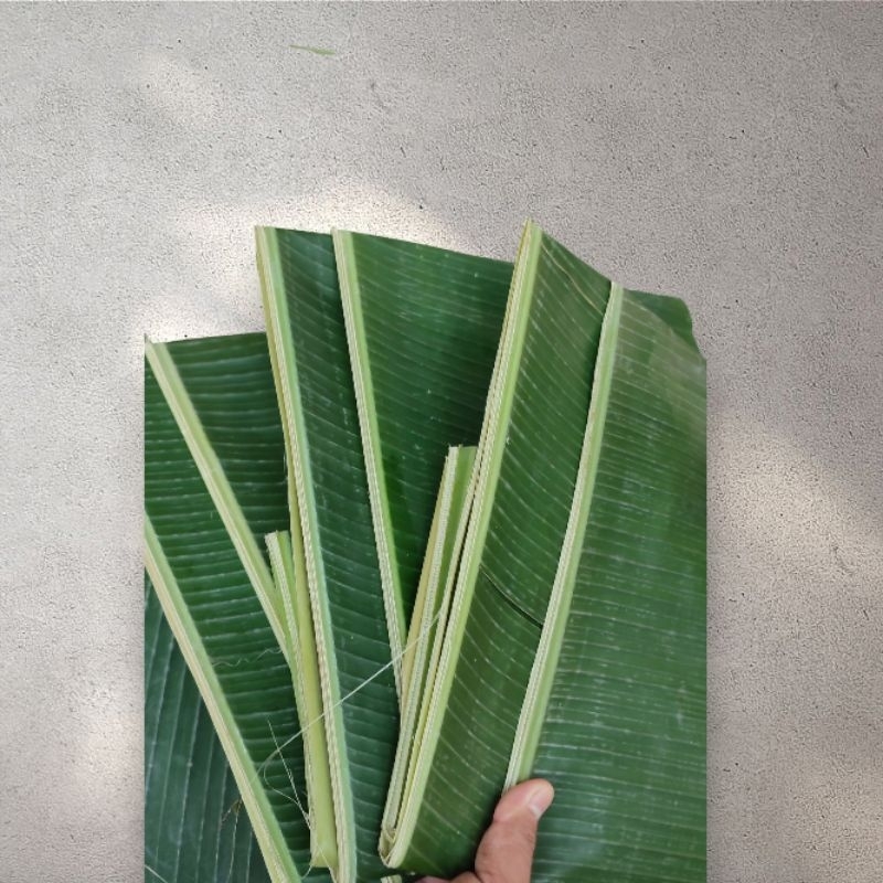 

Daun Pisang Baru Segar 2 Ikat 250gr