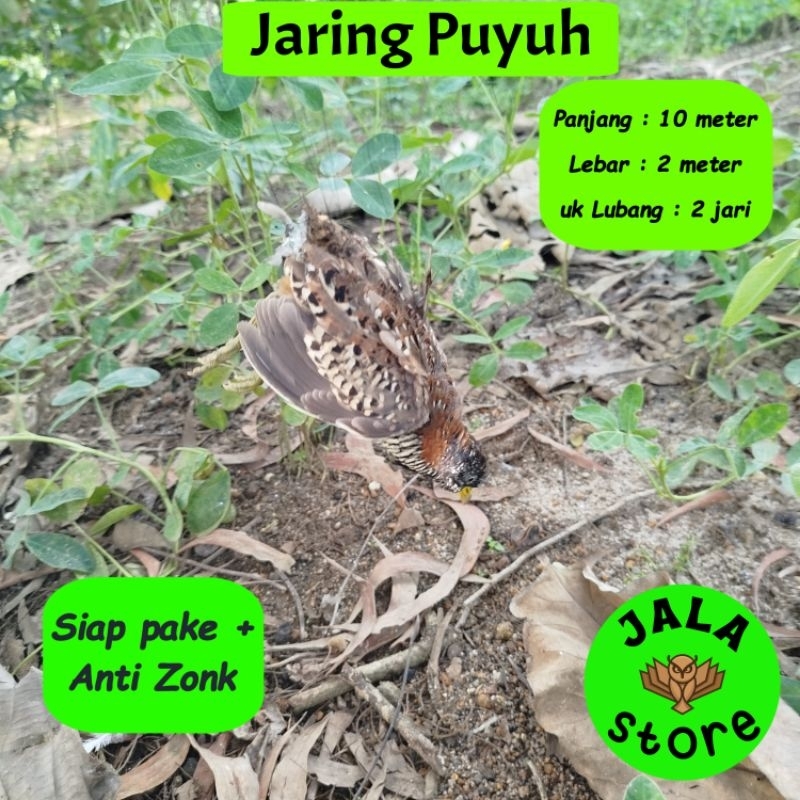 JARING BURUNG PUYUH JARING BURUNG KUTUT JARING BURUNG KUTUT JARING BURUNG BESAR JARING BURUNG 2 IN J