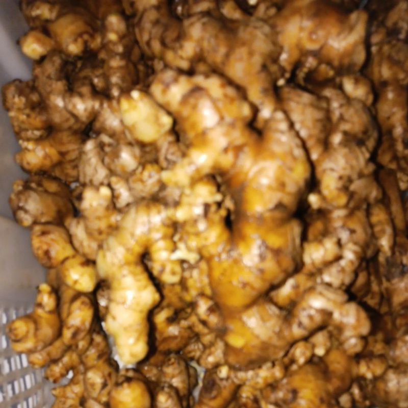 

jahe gajah ( jumbo ) 500 gram