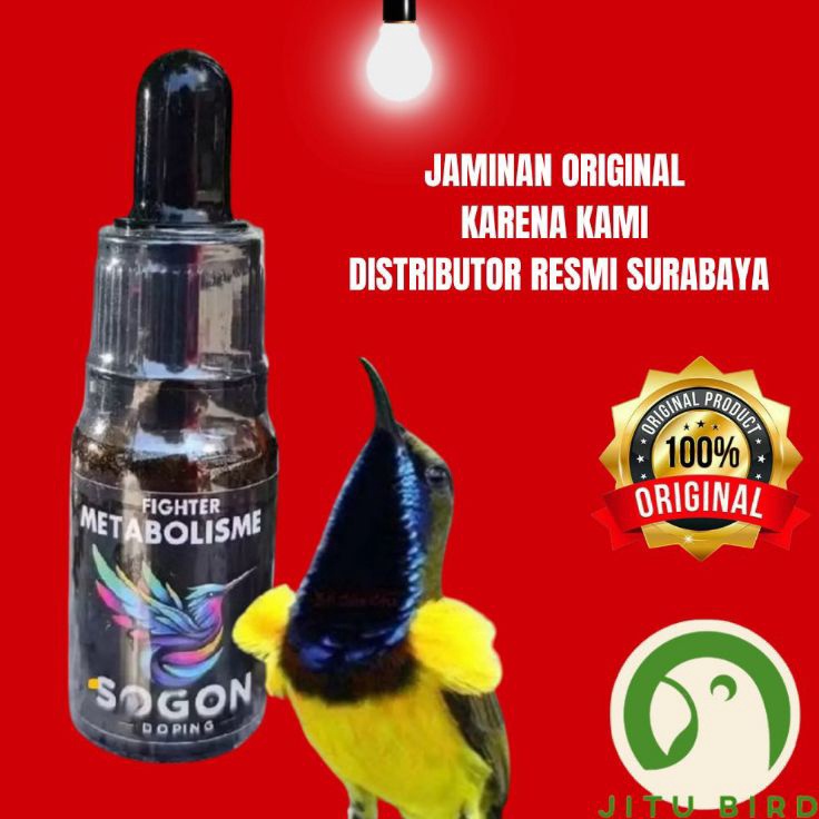 METABOLISME FIGHTER DOPING SOGON DOSIS TINGGI METABOLISME BURUNG ORIGINAL