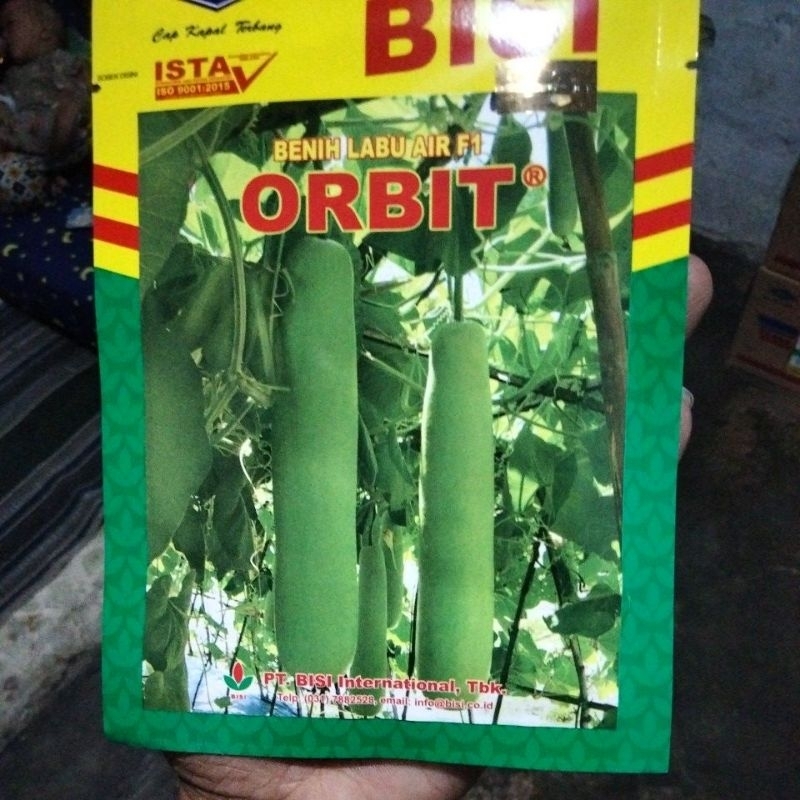 Benih labu air ORBIT F1