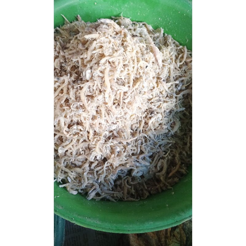 

Ikan teri medan