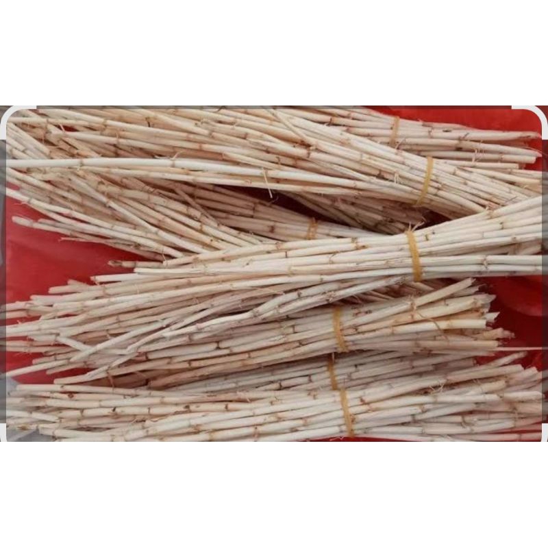 

Akar Alang alang segar 500gram