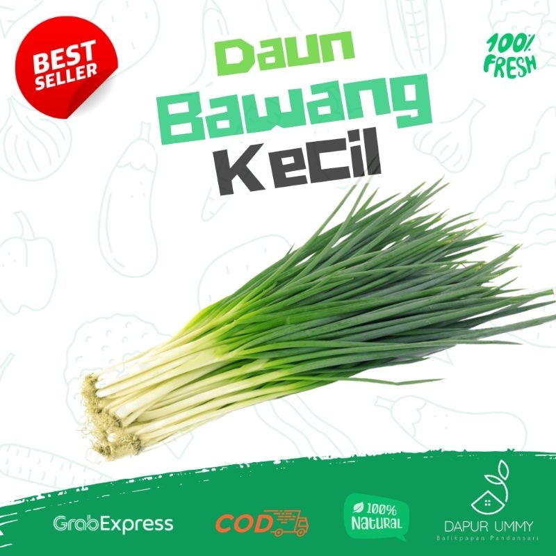 

DAUN FRESH • Daun Bawang kecil Segar per ikat