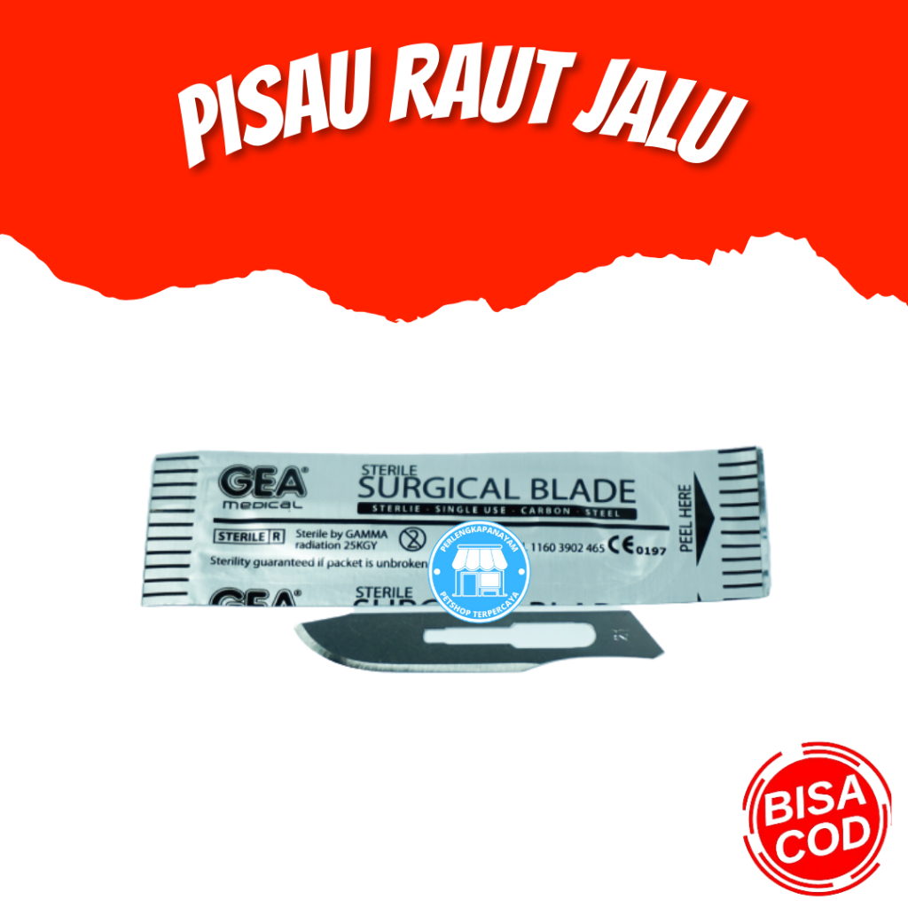 PISAU RAUT JALU Pisau Untuk Raut Taji Ayam Jalu Ayam Peruncing Taji