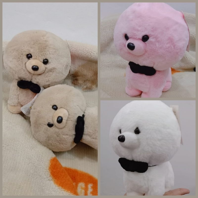 Boneka anjing pomeranian