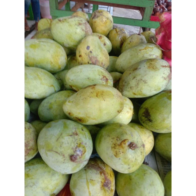 

MANGGA MENTAH 1kg