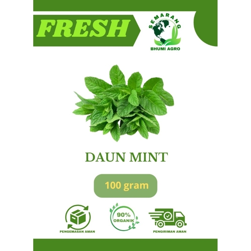 

Daun Mint Fresh & Organik - 100gr | BHUMI AGRO
