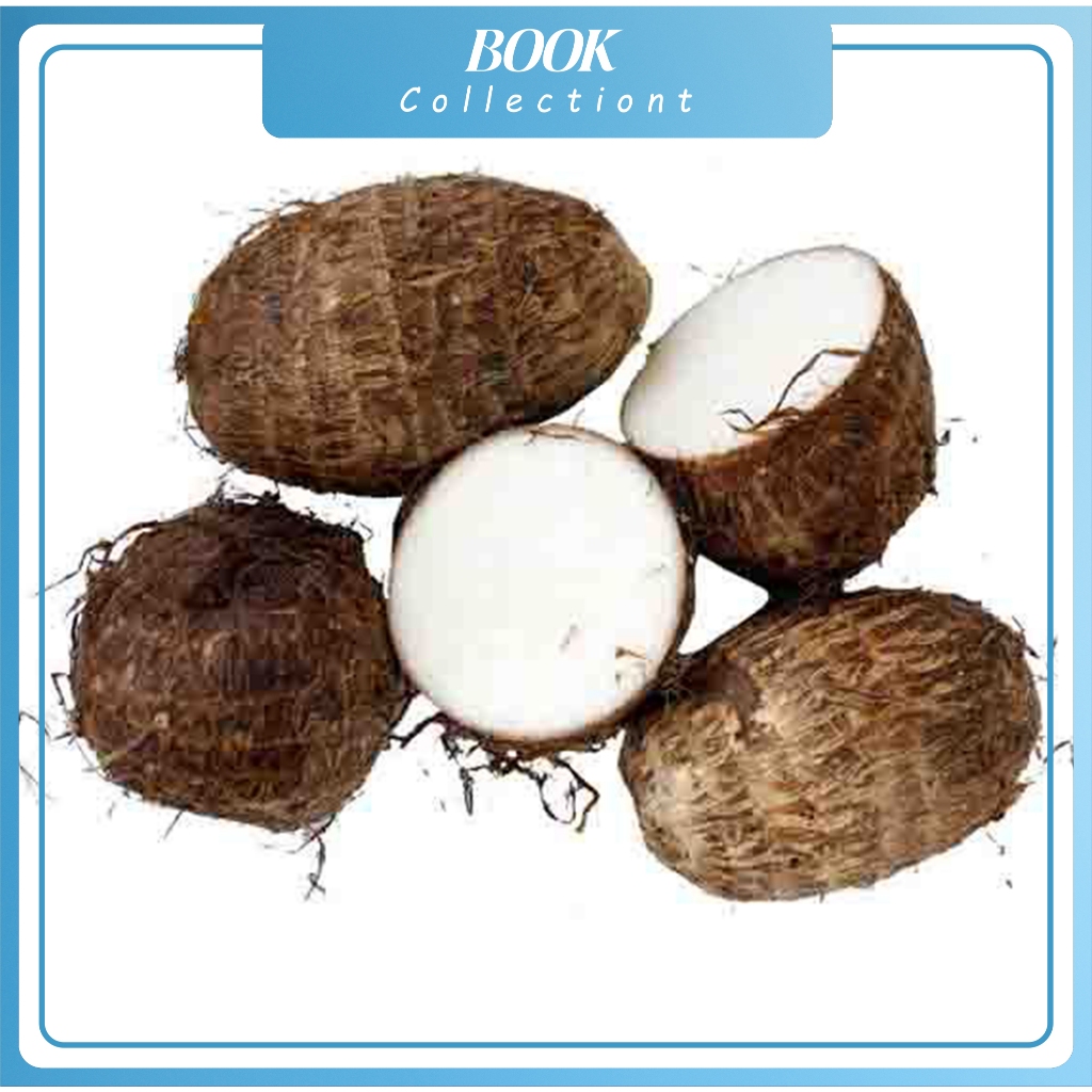 

umbi talas pulen / ubi talas segar 1 kg