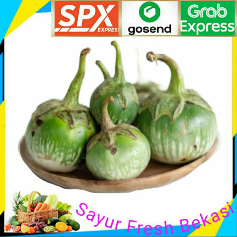 

Terong Hijau Bulat 250g.