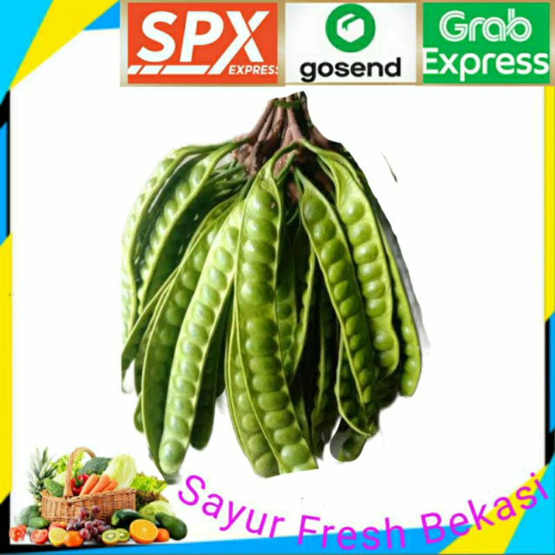 

Pete/Petai ( 1 papan).