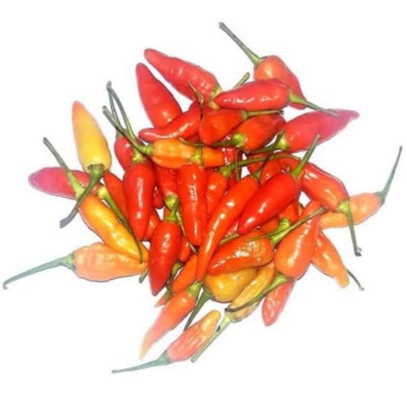 

Cabai Rawit / Cabe Rawit 100gr, 250gr, 500gr