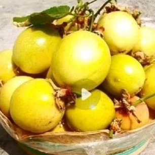 

Buah markisa sgar 500 gr olahan ius.. stok redy