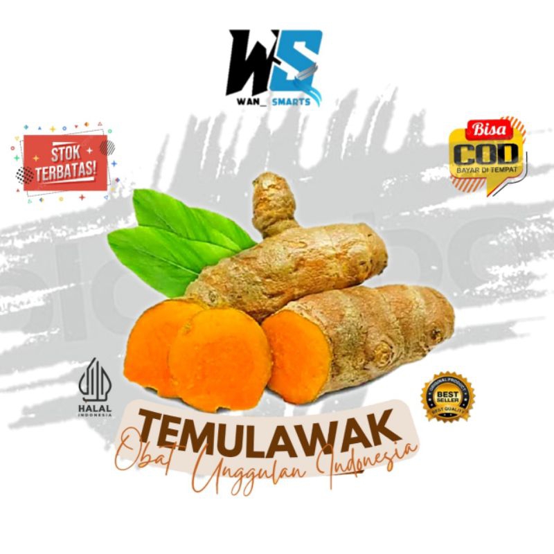 

New Promo Temu lawak segar 1 kg - temulawak fresh