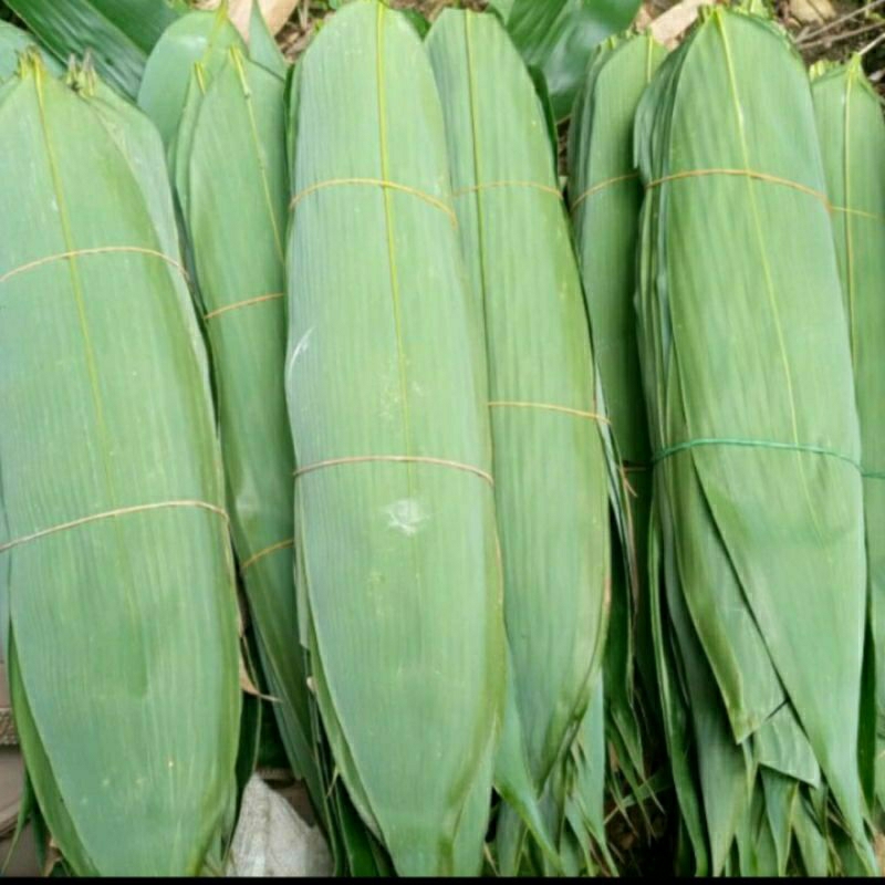 

Daun Bambu 50 lembar