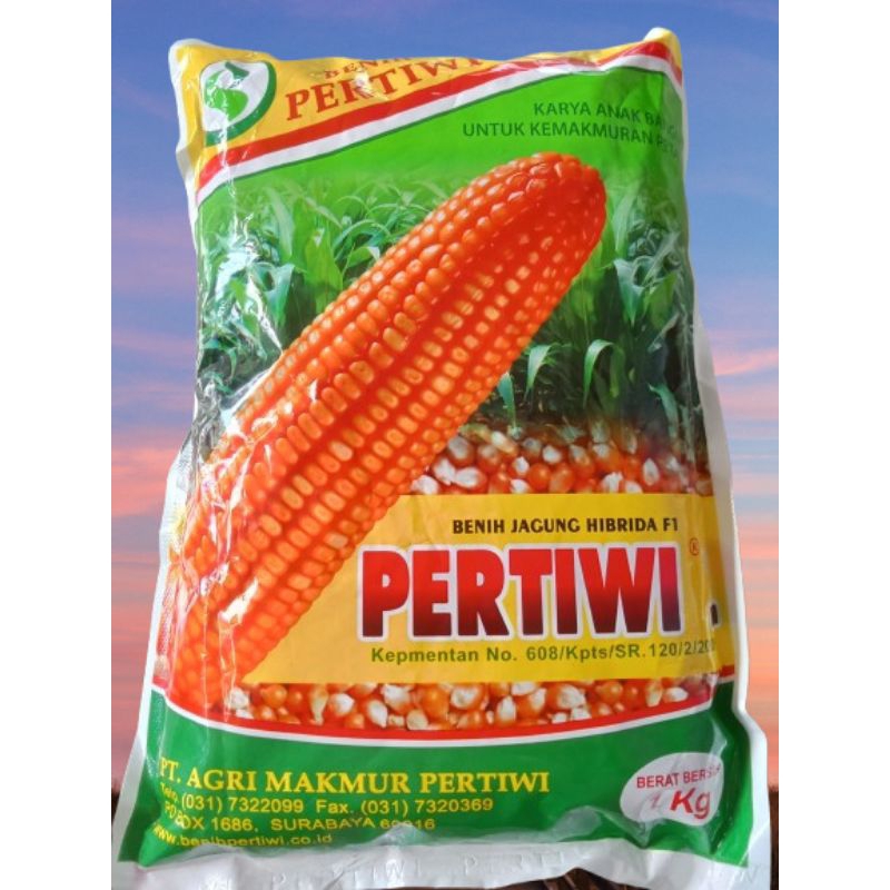 

Benih Jagung Pertiwi 1
