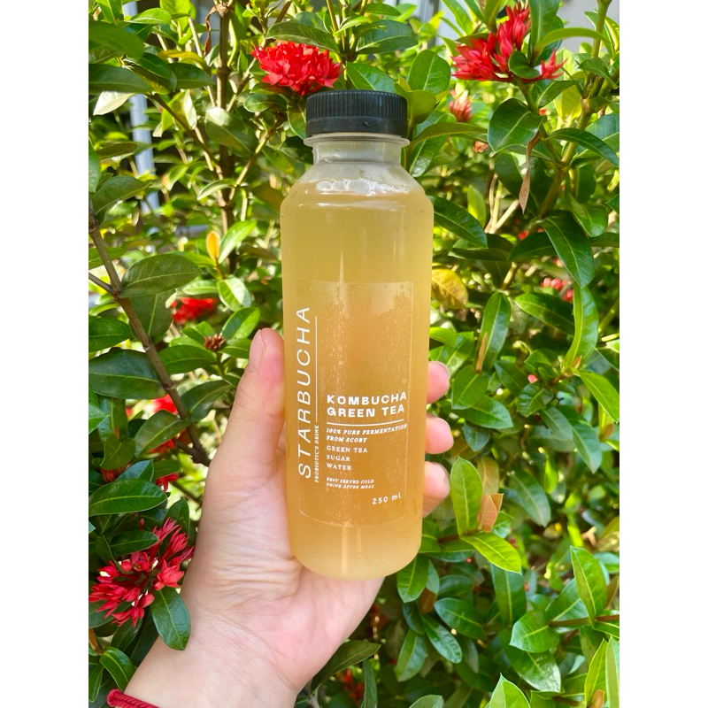 

KOMBUCHA GREEN TEA BY STARBUCHA