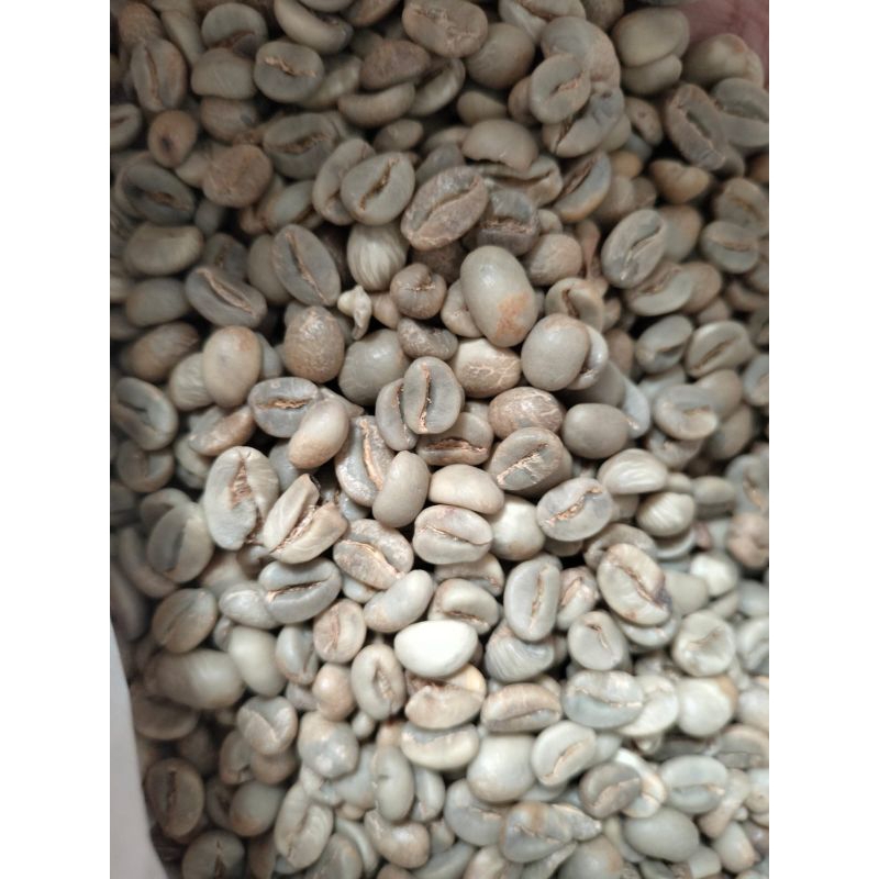 

green bean Arabica fullwashed Arjuno