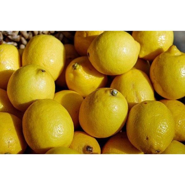 

Fresh Lemon Jeruk - Buah Jeruk / Jeruk Lemon California & Lemon Import 1kg Harga Termurah Bandung