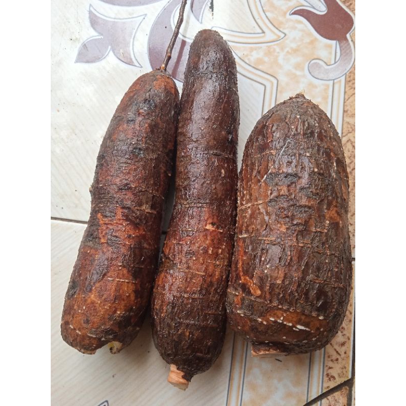 

singkong mentega segar per 1 kg