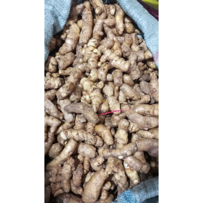 

temu mangga berkulitas segar 500g