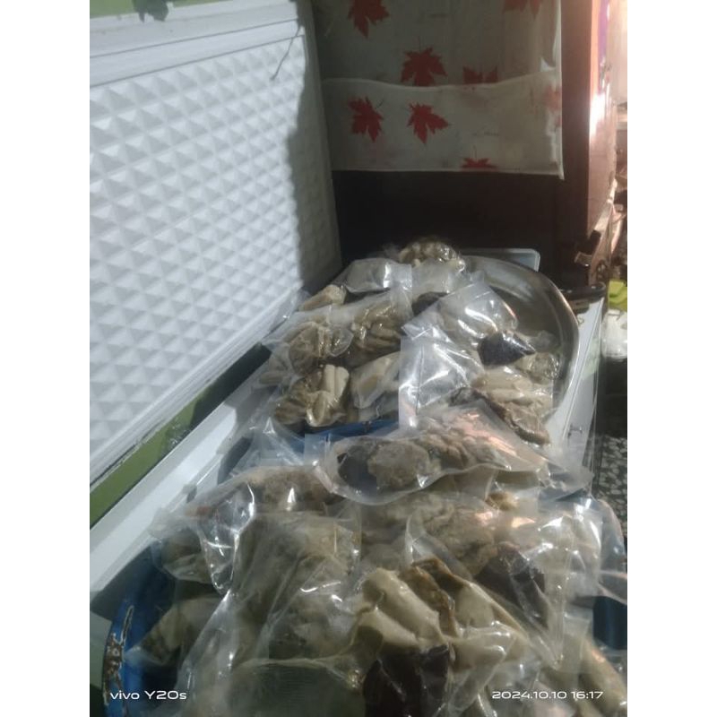 

pempek Palembang yuk rita