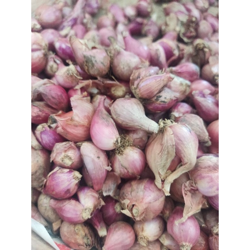 

bawang merah 1/2 kg