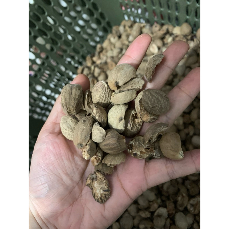 

Pala Kupas grade BWP