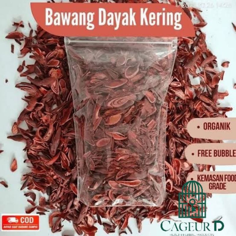 

Bawang Dayak Kering 500Gram Bawang Berlian Kering Bawang Tiwai Kering Bawang Sabrang Kering