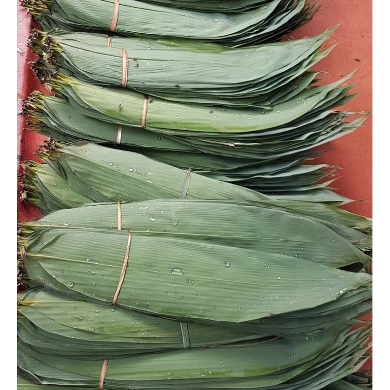 

Daun bambu untuk bungkus bacang per lembar
