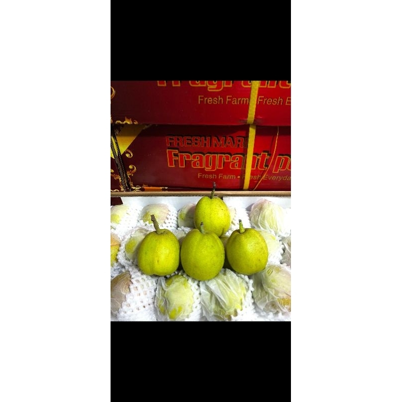 

pear xianglie 1kg
