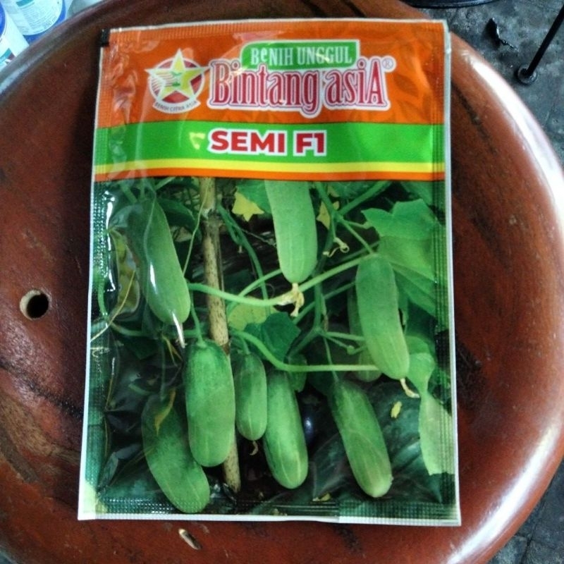 Benih timun hibrida SEMI  f1 (20gr)