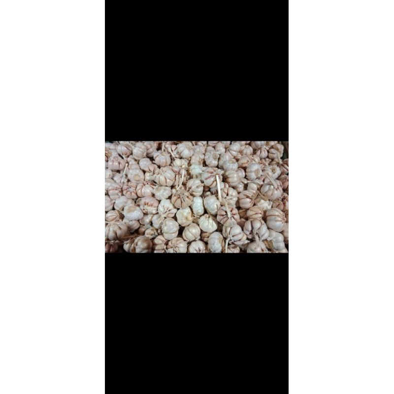 

bawang putih kemas 1kg