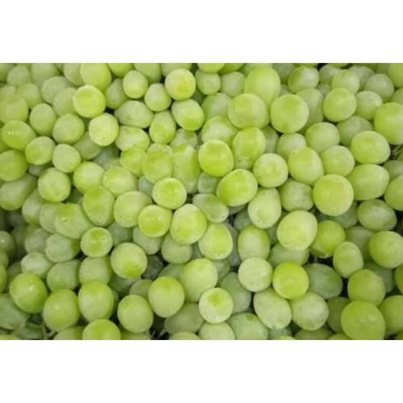 

buah anggur hijau 250 gram