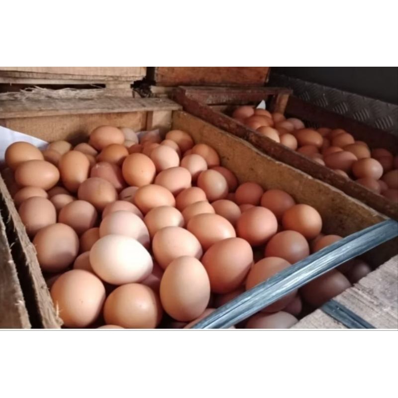 

Telor Ayam Negeri 1kg